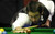 Jual Poster Ronnie O'Sullivan Snooker Sports Snooker APC