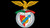 Jual Poster Soccer S.L. Benfica APC