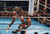 Jual Poster Sports Boxing APC011