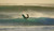 Jual Poster Sports Surfing APC036
