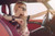 Jual Poster Blonde Car Model Sunglasses Woman Models Model APC