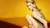 Jual Poster Blonde Elsa Hosk Model Swedish Models Elsa Hosk5 APC001