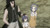 Poster Anime Fairy Tail APC007