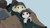 Poster Anime Girls' Last Tour APC008A