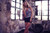 Jual Poster Models Rachel Ann Yampolsky APC009