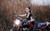 Jual Poster Motorcycles Girls & Motorcycles APC013