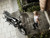 Jual Poster Motorcycles Girls & Motorcycles APC014