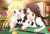 Poster Anime KINMOZA! APC002A