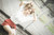 Jual Poster Women Asian APC2257