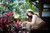 Jual Poster Women Asian APC2525