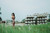 Jual Poster Women Asian APC2770