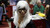 Jual Poster Women Cosplay APC245
