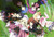 Poster Anime Little Busters! APC006