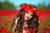 Jual Poster Women Face APC374