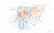 Poster Anime Maquia When the Promised Flower Blooms APC006A