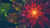 Jual Poster fractal flower colorful neon hd 4k WPS30