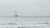 Jual Poster Bird Fog Sailboat Sea Vehicles Sailboat APC