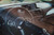 Jual Poster BMW BMW APC165