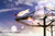 Poster Anime Original APC092