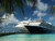 Jual Poster Cruise Ships Cruise Ship APC016