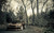 Jual Poster Subaru Vehicles Tuned APC