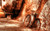 Jual Poster Vehicles Bicycle APC010