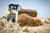 Jual Poster Volvo Volvo APC014