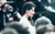 Jual Poster Actresses Laetitia Casta French Model APC013
