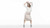 Jual Poster Actresses Maisie Williams Actress British Brunette Short Hair APC Jual Poster Actresses Maisie Williams Actress British Brunette Short Hair APC