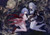 Poster Anime Touhou APC050