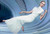 Jual Poster Models Gemma Ward Dress APC
