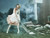 Jual Poster Wallpaper Celebrity Brittany Brown America's Next Top Model Zombie APC