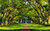 Jual Poster Alley Grass Green Landscape Leaf Tree Villa Buildings House APC