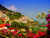 Jual Poster Amalfi Boat Flower House Italy Ocean Towns Amalfi APC