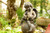 Jual Poster Angel Statue Blur Bokeh Cherub Garden Man Made Old Statue Man Made Cherub Statue APC