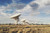 Jual Poster Antenna New Mexico Man Made Telescope APC