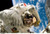 Jual Poster Astronaut Man Made NASA 78788 APC