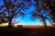 Jual Poster Bench Blue Horizon Sky Tree Man Made Bench APC