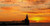 Jual Poster Bird Horizon Lighthouse Ocean Sky Sunset orange (Color) Buildings Lighthouse APC