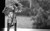 Jual Poster Black & White Man Made Flower APC