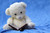 Jual Poster Blue Book Still Life Stuffed Animal Teddy Bear Toy Man Made Stuffed Animal APC