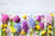 Jual Poster Blue Flower Daffodil Easter Flower Pink Flower Purple Flower Tulip Yellow Flower Man Made Flower APC