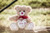 Jual Poster Bokeh Love Summer Teddy Bear Valentine's Day Man Made Stuffed Animal APC