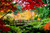 Jual Poster Bridge Colors Garden Leaf Oriental Bridges Bridge APC