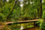 Jual Poster Bridge Netherlands Stream Wood Bridges Bridge APC