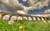 Jual Poster Bridges Arthington Viaduct APC 002