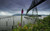 Jual Poster Bridges Astoria–Megler Bridge APC 004