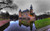 Jual Poster Castles Castle APC 074
