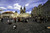 Jual Poster Cities Prague APC 011