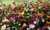 Jual Poster Colorful Colors Flower Garden Man Made Garden APC